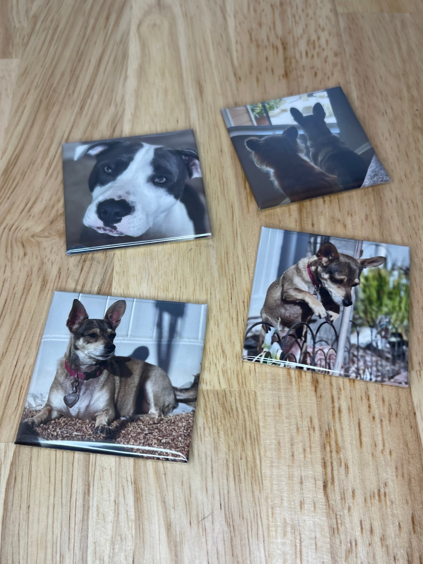2"x2" Custom Photo Magnets